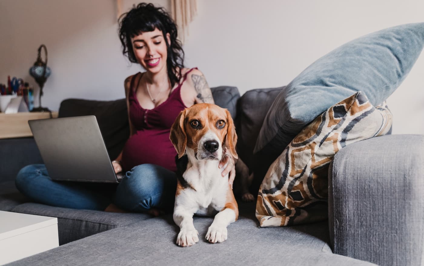 Pregnant woman relaxing at home with her dog and laptop β perinatal and reproductive mental health support at Minnesota Mental Health Clinics